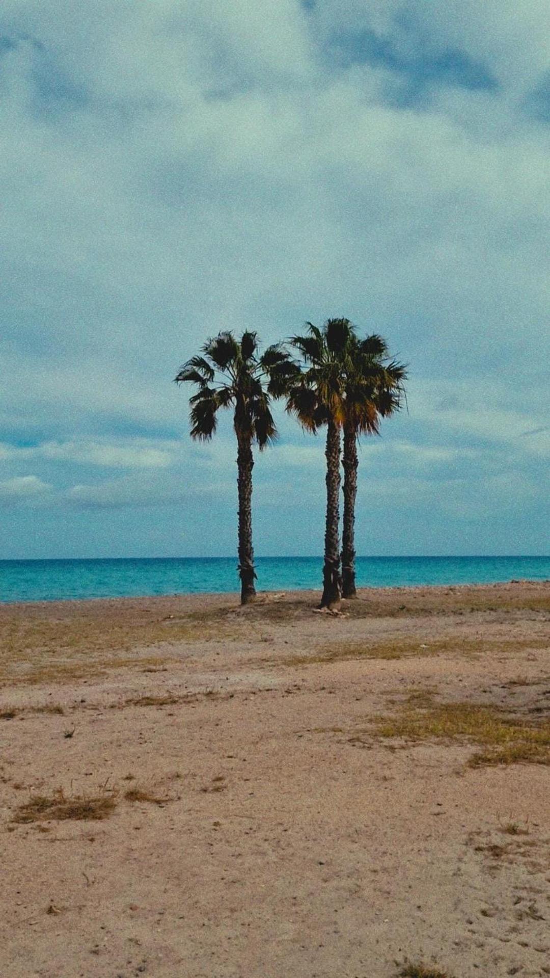 Apartamento Playa Moncofa-Chilches Chilches  Εξωτερικό φωτογραφία